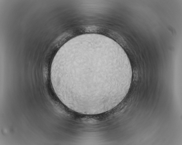 X0000111230648200908131123