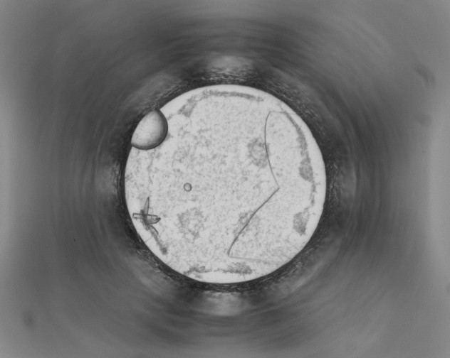 X0000111230649200908131123