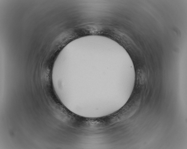 X0000111230650200908131124