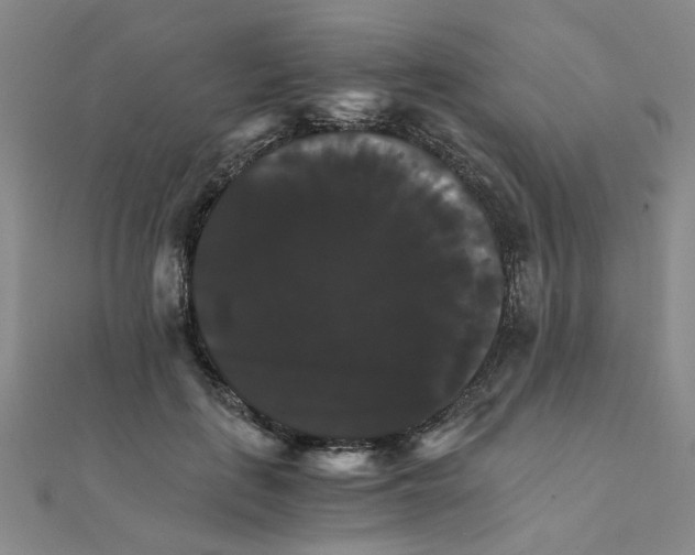 X0000111230651200908131124