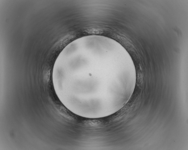 X0000111230652200908131124