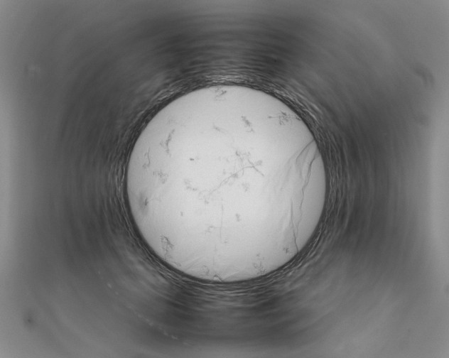 X0000111230655200908131124