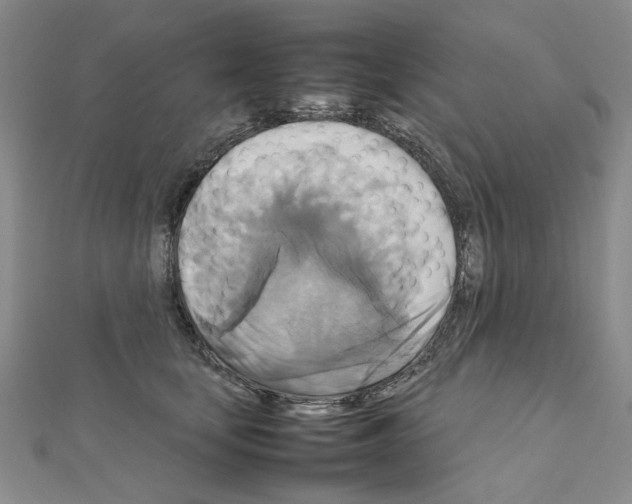 X0000111230659200908131124
