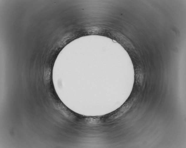 X0000111230660200908131124