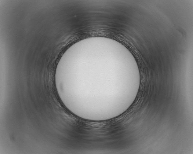 X0000111230663200908131124