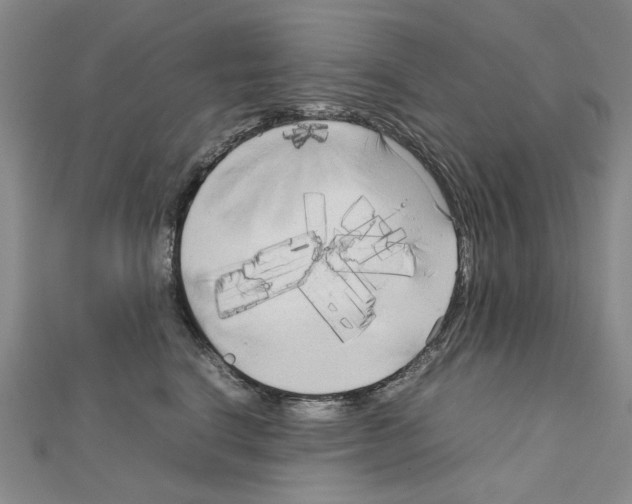 X0000111230664200908131124
