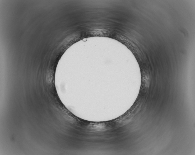 X0000111230665200908131124