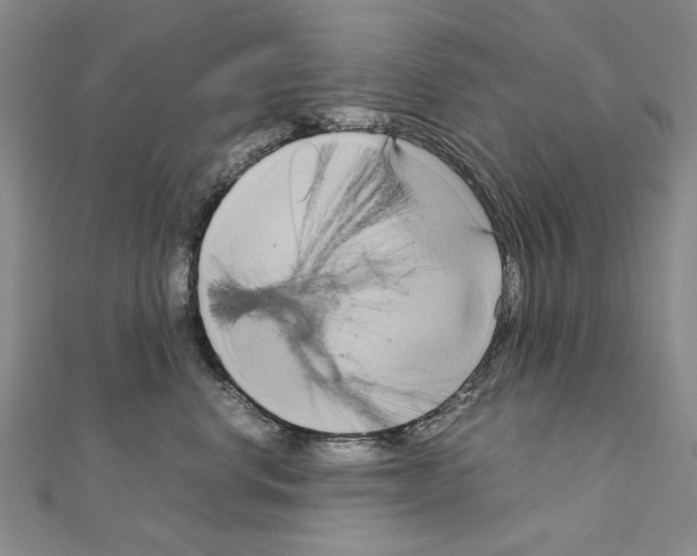 X0000111230668200908131124