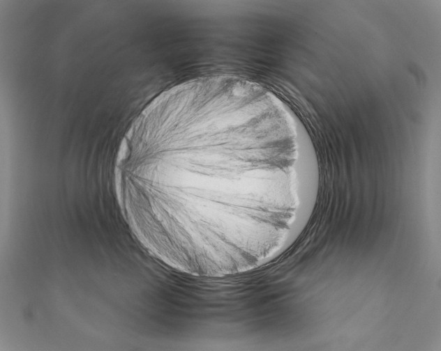 X0000111230669200908131124