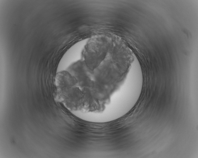 X0000111230671200908131124
