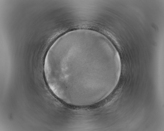 X0000111230673200908131123