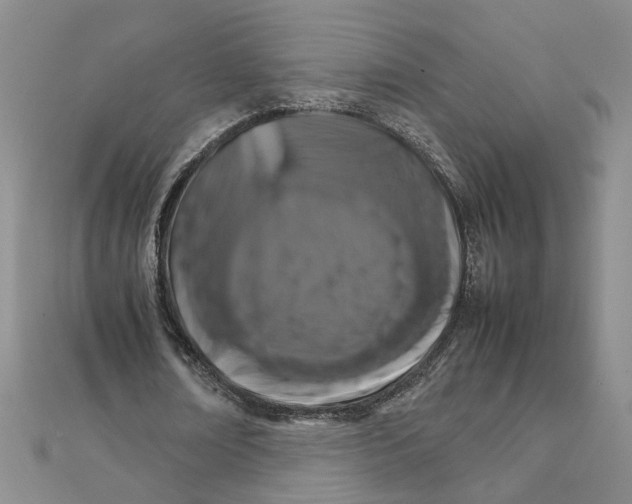 X0000111230674200908131123