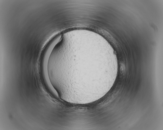 X0000111230676200908131123