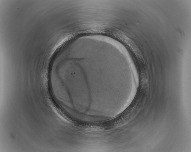 X0000111230677200908131123