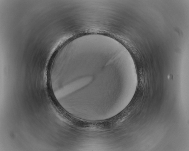 X0000111230678200908131123