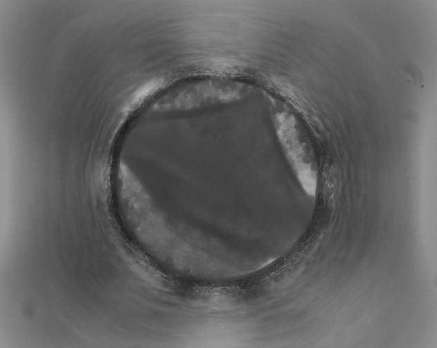X0000111230679200908131123