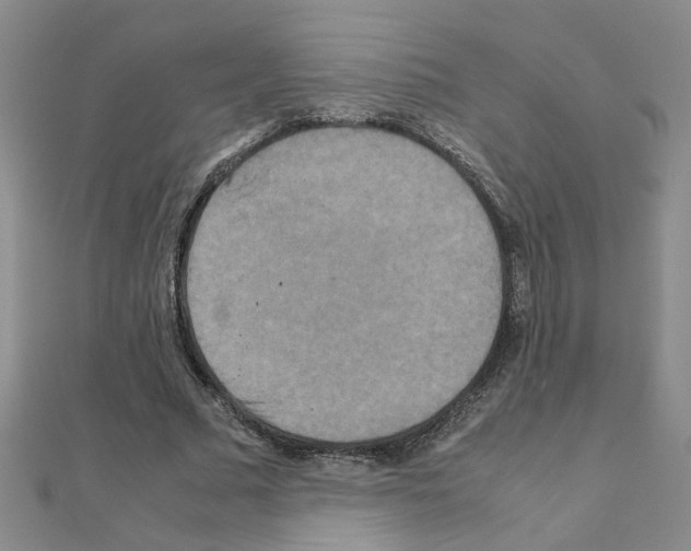 X0000111230681200908131123