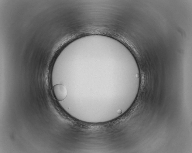 X0000111230682200908131123