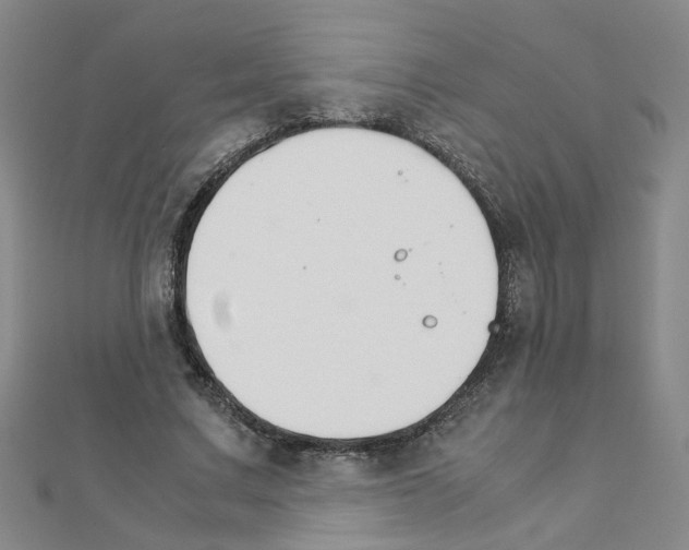 X0000111230683200908131123