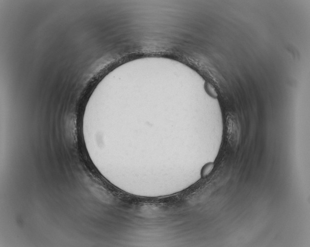 X0000111230684200908131123