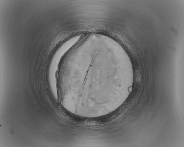 X0000111230685200908131123