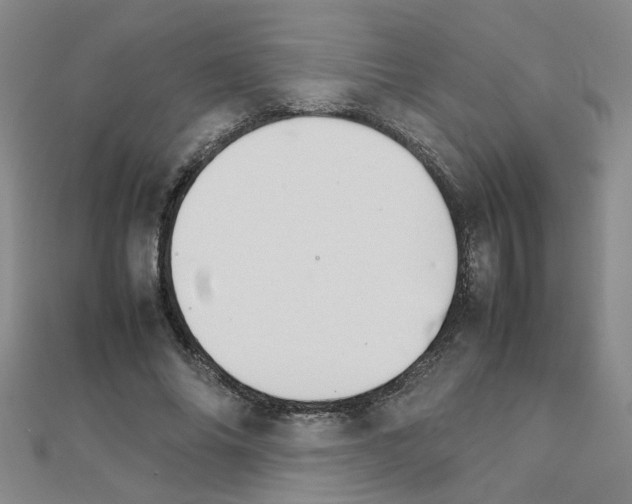 X0000111230686200908131123