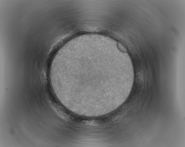X0000111230688200908131123