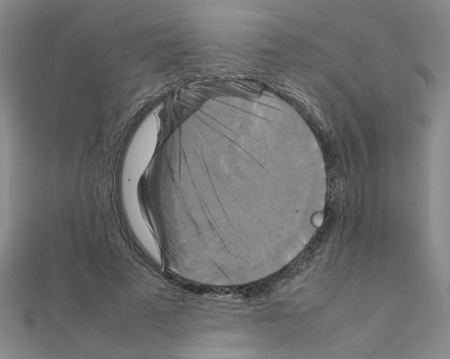 X0000111230689200908131123