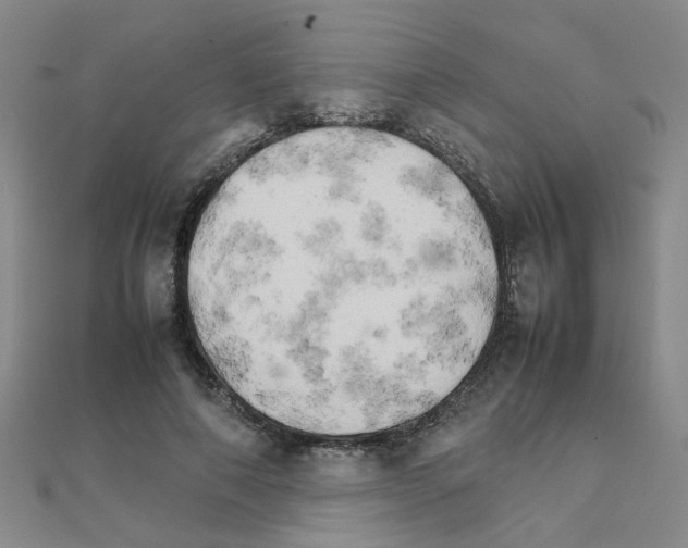 X0000111230690200908131123