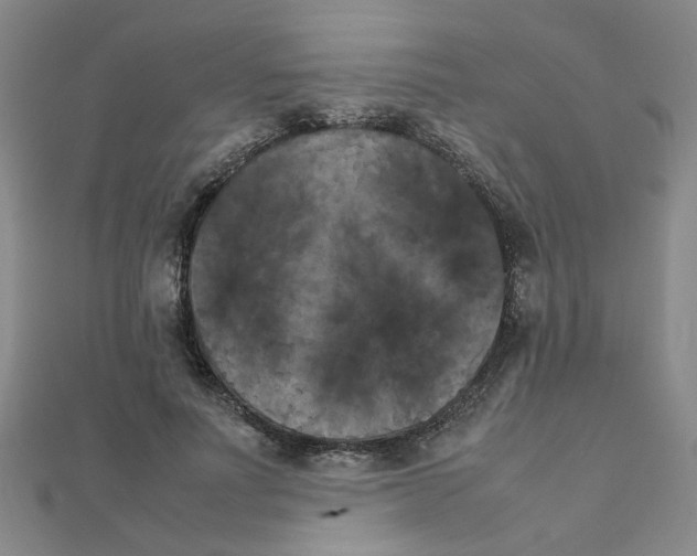 X0000111230691200908131123