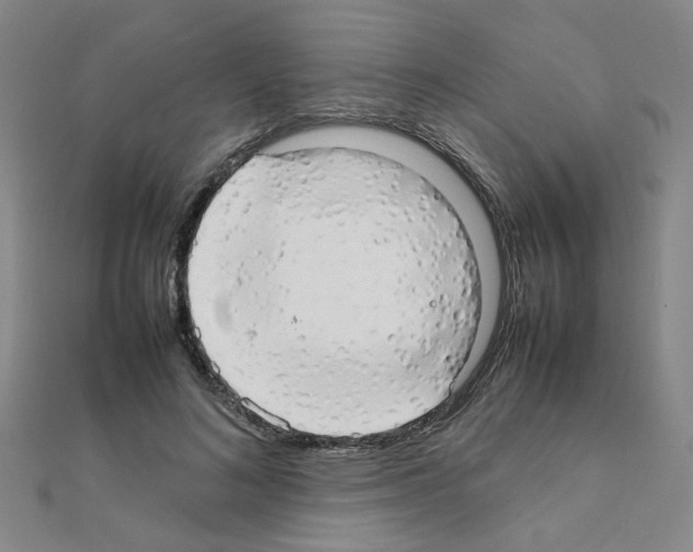 X0000111230692200908131123