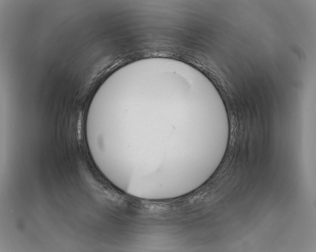 X0000111230694200908131123