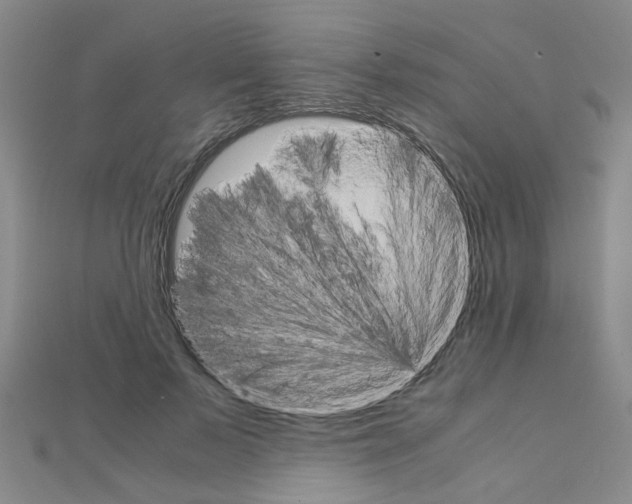 X0000111230695200908131123