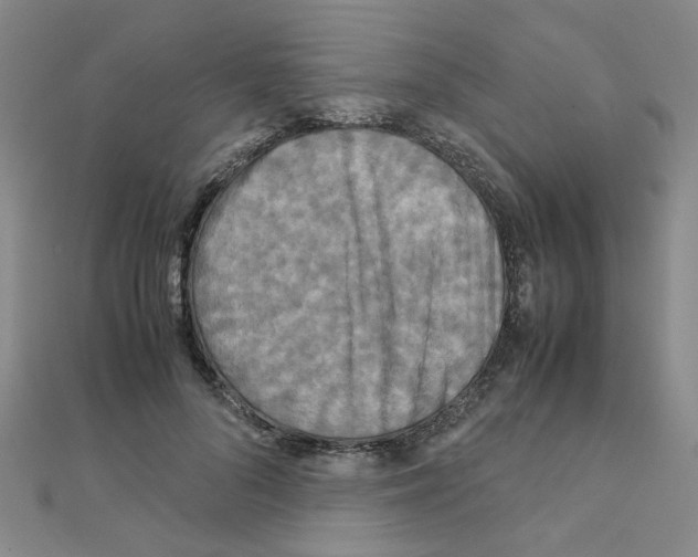 X0000111230696200908131123