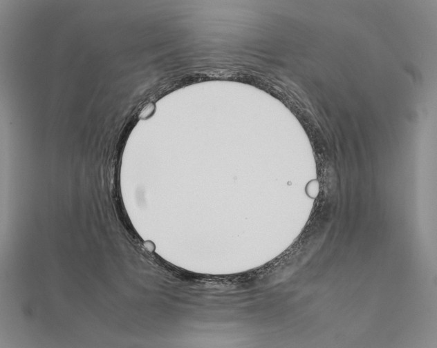 X0000111230697200908131123