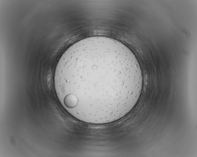 X0000111230698200908131123