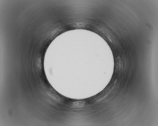 X0000111230700200908131123