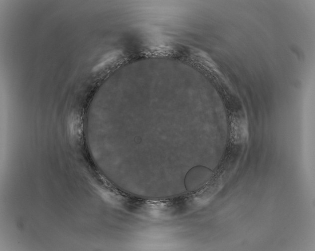 X0000111230701200908131123