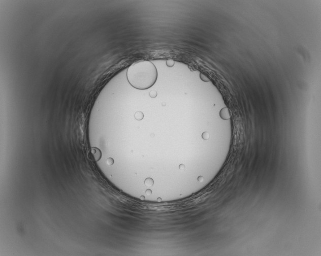 X0000111230702200908131123