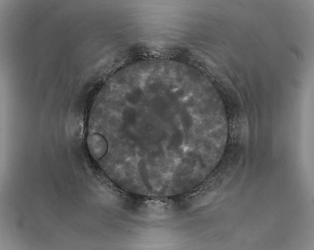 X0000111230703200908131123