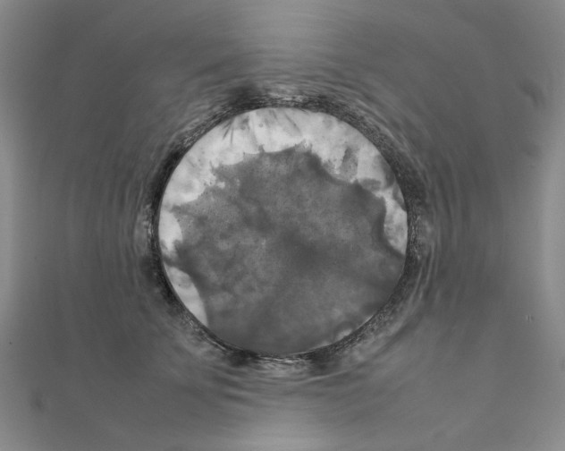 X0000111230707200908131123