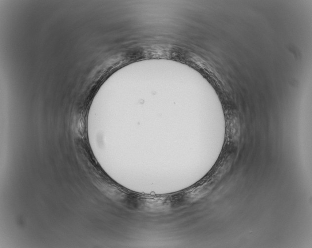 X0000111230709200908131123