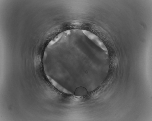 X0000111230711200908131123