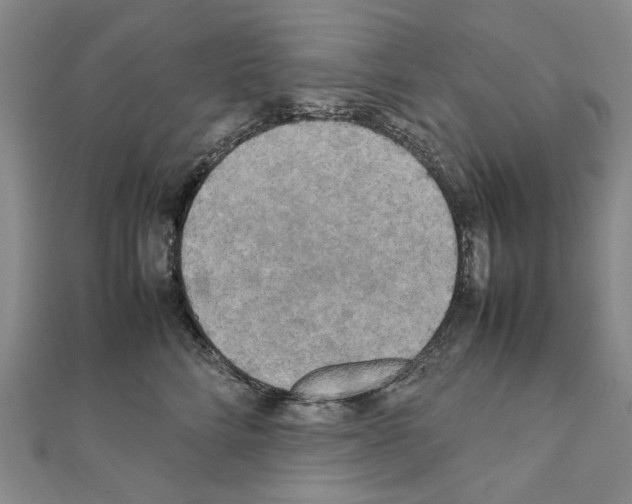 X0000111230712200908131123