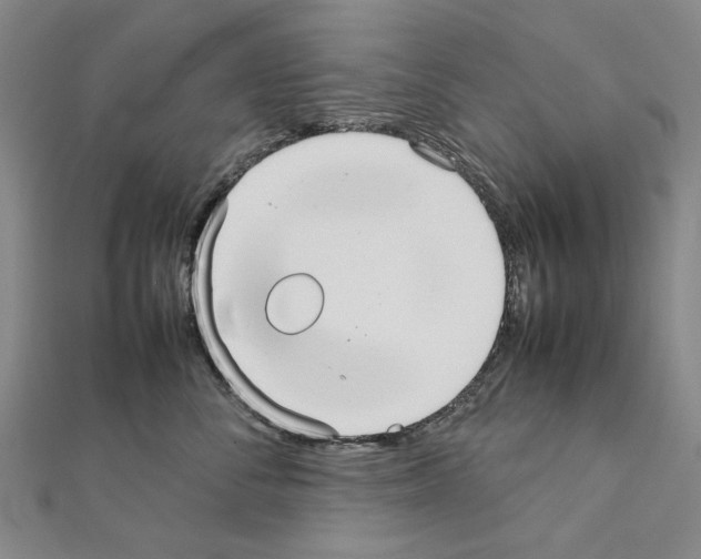 X0000111230716200908131123