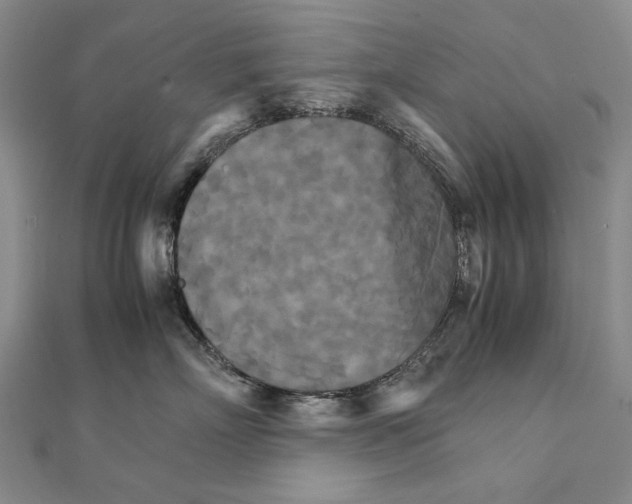 X0000111230718200908131123