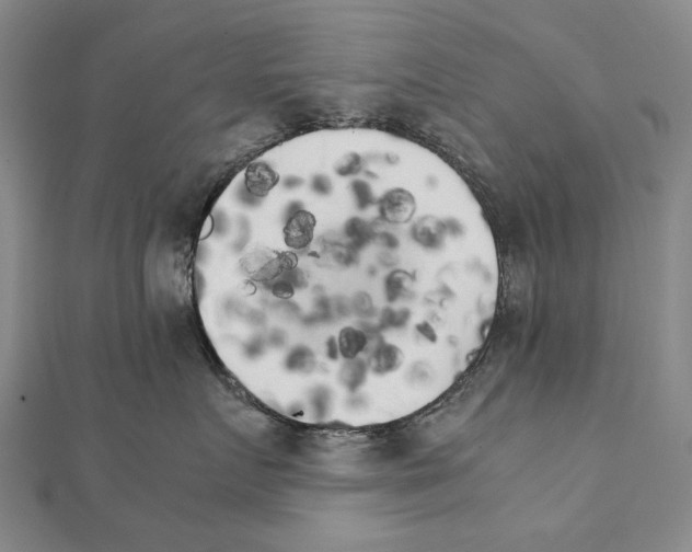 X0000111230719200908131123