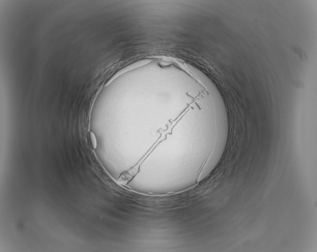 X0000111230720200908131123