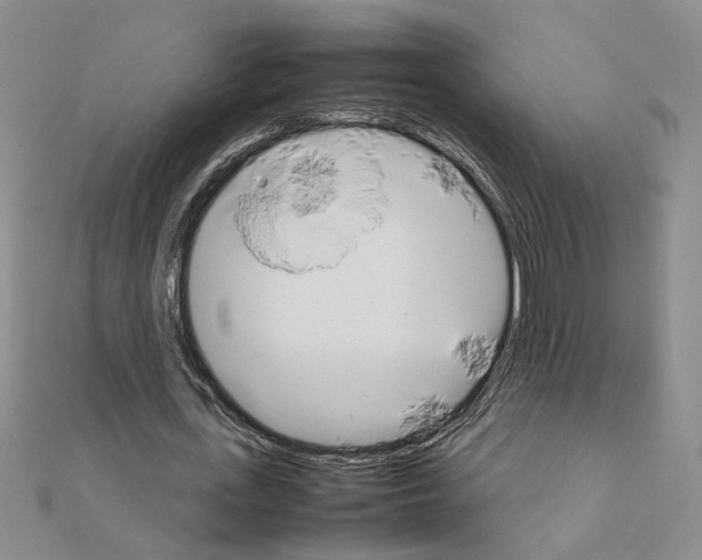 X0000111230723200908131122