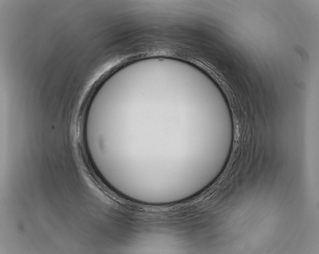 X0000111230726200908131122